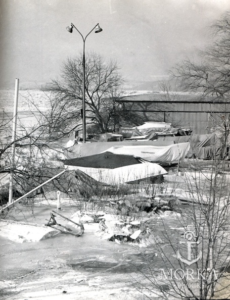 Powódź Styczeń 1982 r.