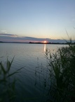 image011